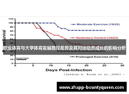 职业体育与大学体育发展路径差异及其对运动员成长的影响分析