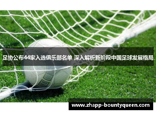 足协公布44家入选俱乐部名单 深入解析新阶段中国足球发展格局 足协公布44家入选俱乐部名单 深入解析新阶段中国足球发展格局