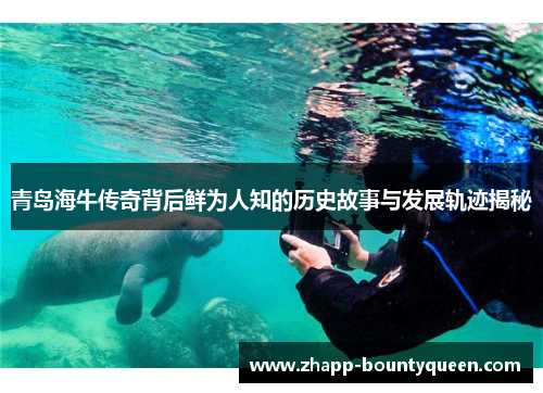 青岛海牛传奇背后鲜为人知的历史故事与发展轨迹揭秘 青岛海牛传奇背后鲜为人知的历史故事与发展轨迹揭秘